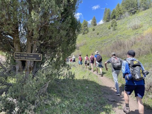 A group of hikers walking along Bear Creek Trail, surrounded by greenery and trees on a sunny day.