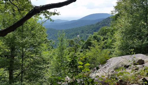 A scenic view of rolling green hills and mountains, framed by trees and rocks under a cloudy sky.