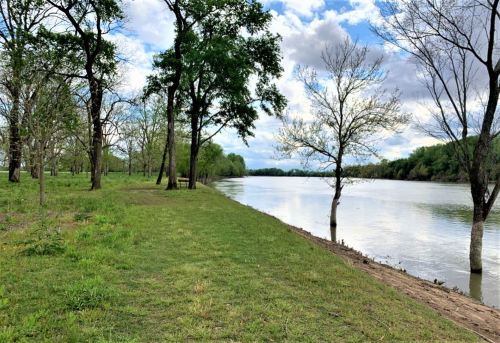 A serene riverbank scene with trees, green grass, and a cloudy sky reflecting over the calm water.