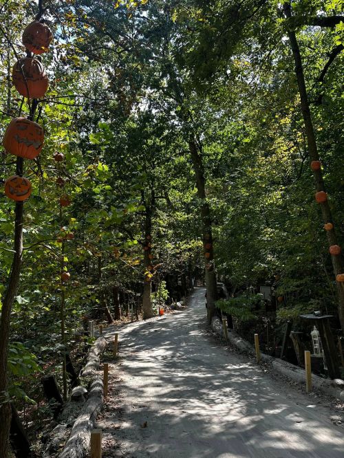 A winding dirt path through a forest, decorated with hanging pumpkins and surrounded by lush green trees.