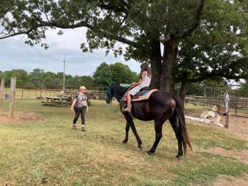 A girl rides a horse in a grassy area while an adult walks beside them, surrounded by trees and a fenced pasture.