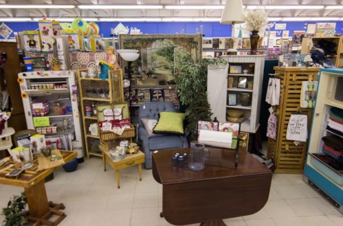 A cozy vintage display featuring a blue chair, wooden table, plants, and various home decor items in a thrift store.