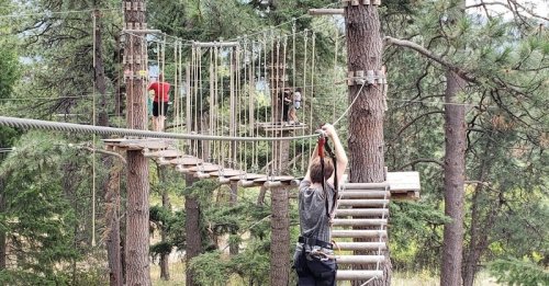 A person navigates a ropes course among trees, with others visible on nearby obstacles in a forested area.