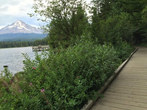 A wooden path alongside a lake, with lush greenery and a snow-capped mountain in the background.