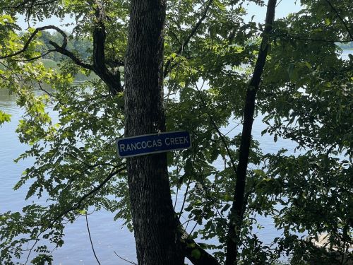 A sign reading "Rancocas Creek" attached to a tree, with a view of the creek and surrounding greenery.