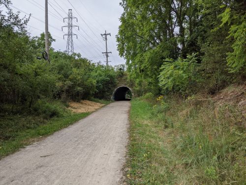 A gravel path leads to a dark tunnel, surrounded by greenery and power lines in the background.