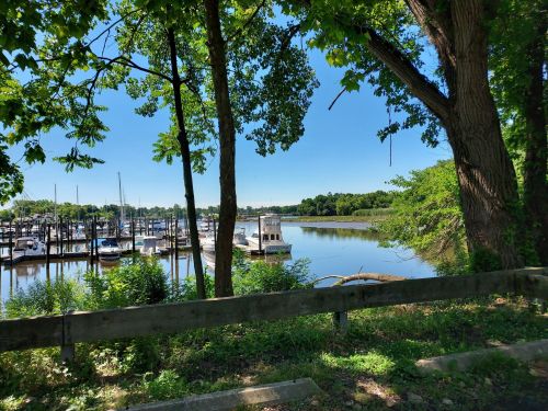 A serene marina view framed by trees, with boats docked and calm water under a clear blue sky.