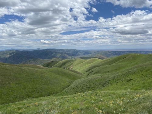 Lush green hills under a blue sky with fluffy clouds, showcasing a serene mountainous landscape.