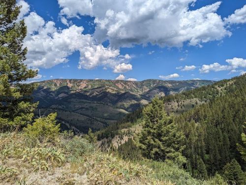 A scenic view of rolling mountains under a blue sky with fluffy clouds, surrounded by lush green trees.