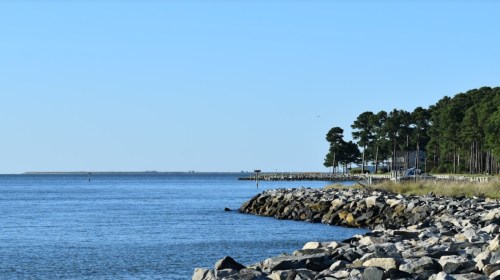 A calm shoreline with rocky beach, trees lining the coast, and a clear blue sky over the water.