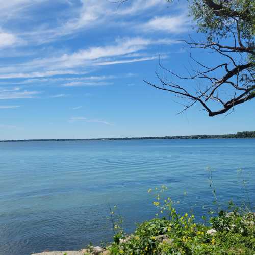 A serene lakeside view with clear water, a distant shoreline, and a tree branch reaching over the water.