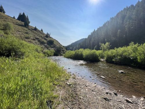 A serene river flows through a lush green valley, surrounded by mountains and trees under a clear blue sky.
