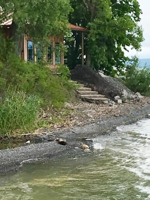 A serene lakeside view featuring a wooden cabin surrounded by greenery and a rocky shoreline.