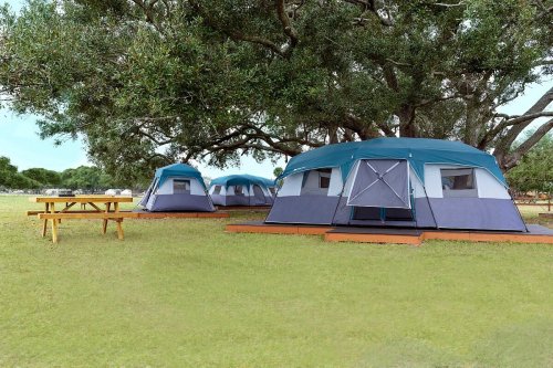 Two large tents under a tree, with a picnic table nearby on a grassy area.