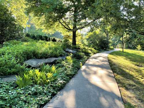 A serene pathway winding through lush greenery and trees, illuminated by soft sunlight.