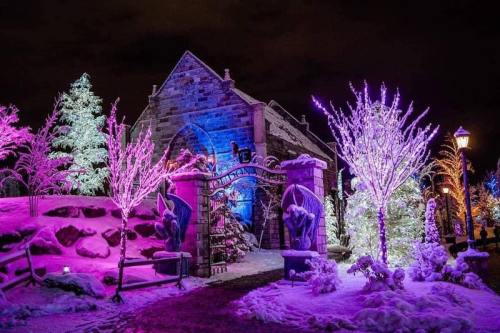 A winter scene featuring a stone building surrounded by colorful purple and pink illuminated trees and snow.