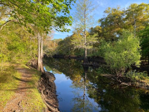 A serene river scene with lush greenery and trees reflecting in calm water under a clear blue sky.