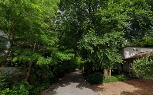 A serene pathway lined with lush green trees, leading to a house partially obscured by foliage.