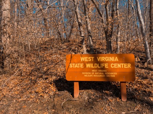 Sign for West Virginia State Wildlife Center surrounded by bare trees and fallen leaves in a wooded area.