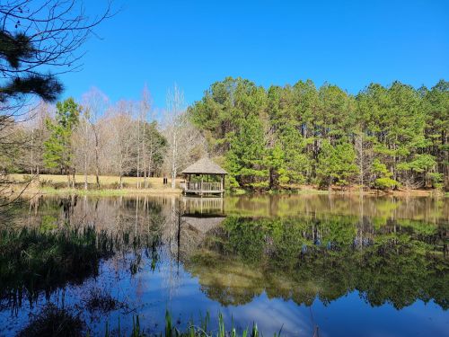A serene pond with a gazebo surrounded by trees under a clear blue sky, reflecting in the water.