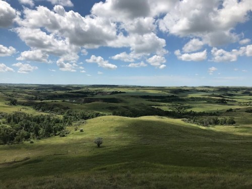 A panoramic view of rolling green hills under a blue sky with fluffy white clouds.
