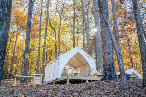 A cozy glamping tent on a wooden deck surrounded by colorful autumn trees and fallen leaves.