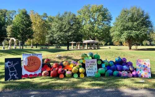 Colorful painted rocks and signs in a park, promoting creativity and self-expression through art.