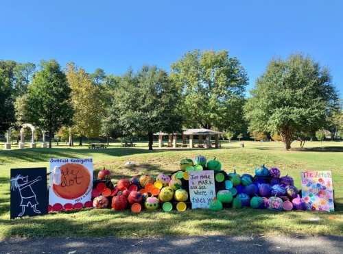 Colorful painted rocks and signs displayed in a park, promoting creativity and community engagement.