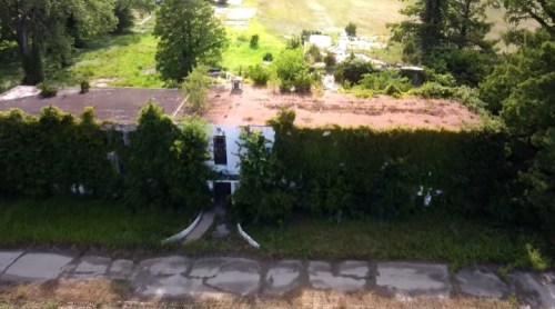Overgrown building with a flat roof, surrounded by greenery and a cracked pathway leading to the entrance.