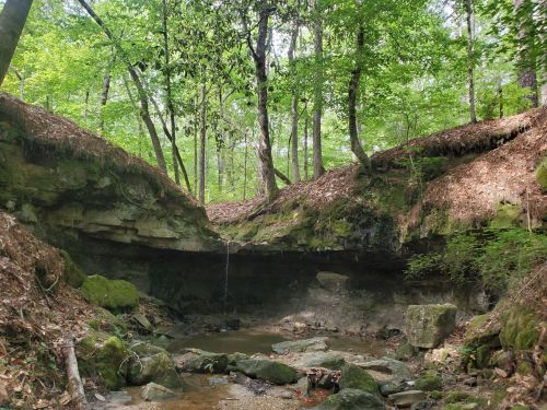 A serene forest scene with a rocky overhang, lush green trees, and a small stream flowing through the forest floor.