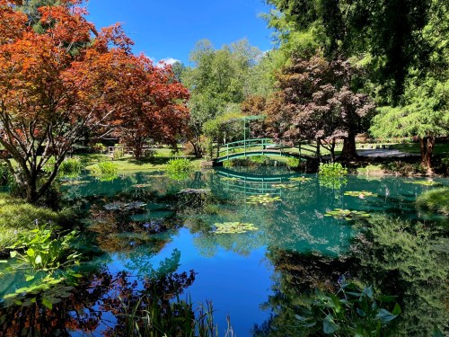 A serene pond surrounded by colorful trees and a green bridge, reflecting the vibrant foliage and blue sky.