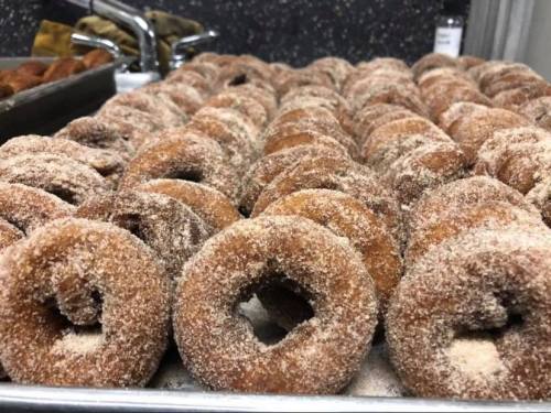 A tray filled with freshly made, cinnamon-sugar coated donuts arranged in neat rows.