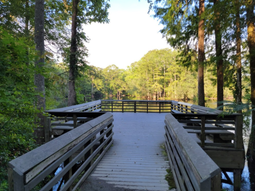 A wooden dock extends into a serene lake, surrounded by lush trees and greenery under a clear blue sky.