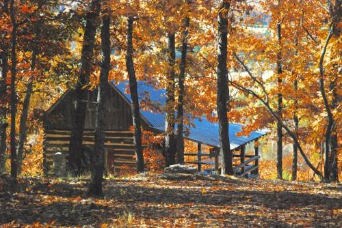A rustic cabin surrounded by vibrant autumn foliage and trees, with fallen leaves covering the ground.
