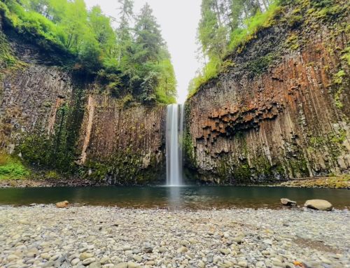 A serene waterfall cascades down rocky cliffs, surrounded by lush greenery and a calm pool below.