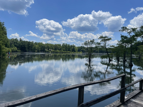 A serene lake scene with trees and clouds reflected in the water, viewed from a wooden walkway.