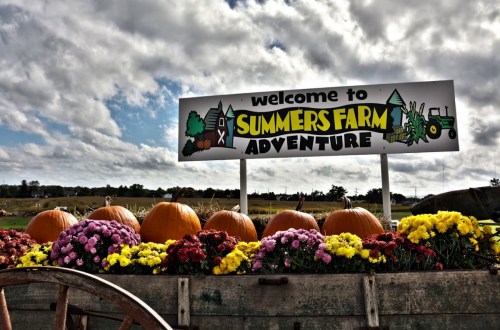 Sign for Summers Farm Adventure with pumpkins and colorful flowers in front, set against a cloudy sky.