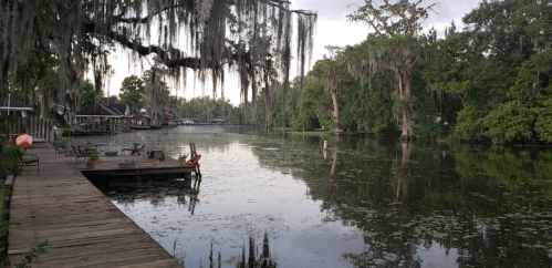 A serene river scene with moss-covered trees, a wooden dock, and reflections on the water's surface.