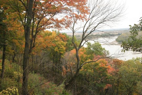 A scenic view of a river surrounded by trees with vibrant autumn foliage in shades of orange and yellow.