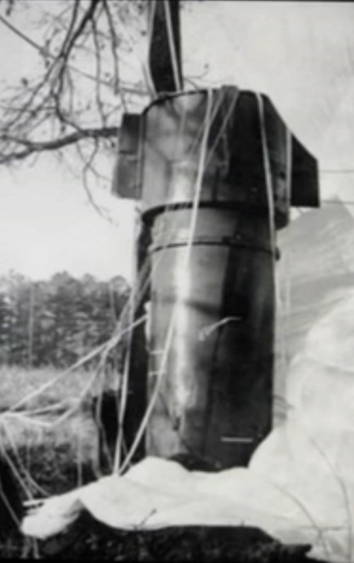 A black and white photo of a large bomb suspended from a tree, surrounded by a grassy area.