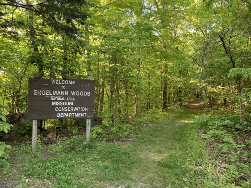 A wooden sign welcomes visitors to Engelmann Woods, surrounded by lush green trees and a dirt path leading into the forest.