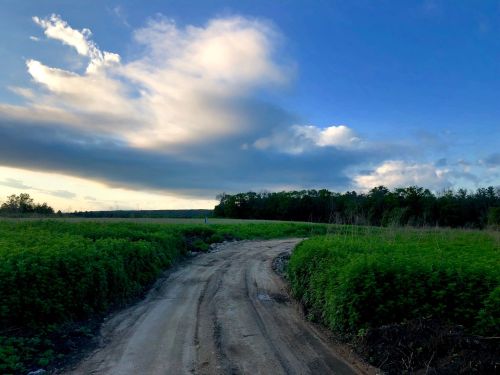 A winding dirt road surrounded by lush green fields under a blue sky with scattered clouds.