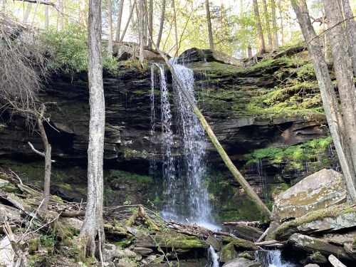 A serene waterfall cascading down moss-covered rocks, surrounded by lush green trees in a tranquil forest setting.