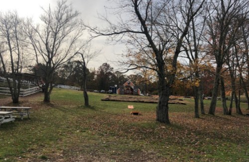 A grassy area with bare trees, benches, and a distant building surrounded by autumn leaves.