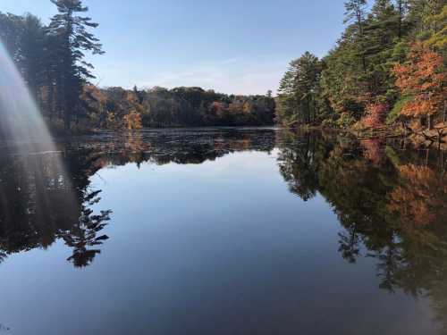 A serene lake surrounded by trees, reflecting autumn colors and a clear blue sky.