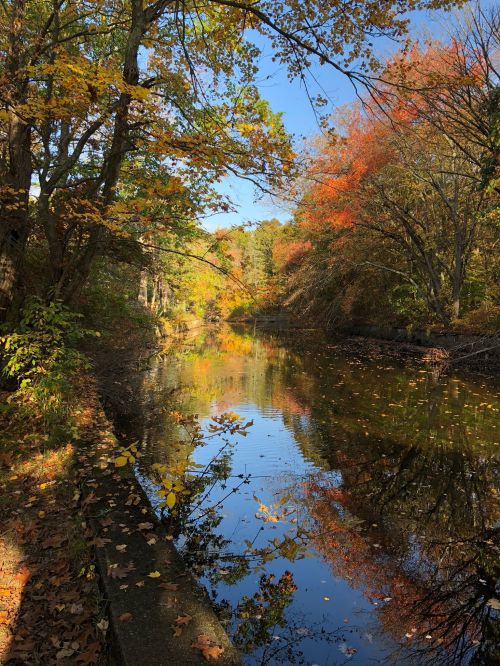 A serene river surrounded by trees with vibrant autumn foliage reflecting on the water's surface.
