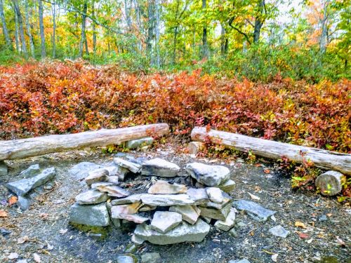 A stone fire pit surrounded by logs, with vibrant autumn foliage in the background.