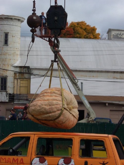 A large pumpkin being lifted by a crane, with people watching from above and colorful trees in the background.