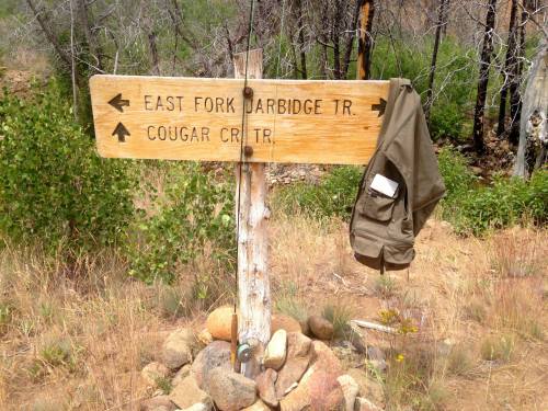 Wooden trail sign with directions to East Fork Jarbridge and Cougar Creek, with a jacket hanging on it.