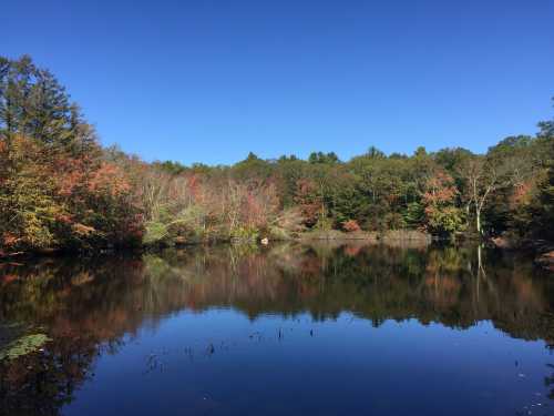 A serene lake reflecting colorful autumn trees under a clear blue sky.